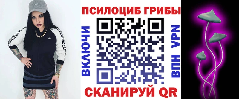 Псилоцибиновые грибы MAGIC MUSHROOMS  нарко площадка телеграм  Видное 